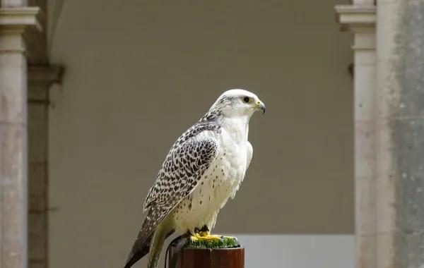 Bca3649c 1c3e 41fd 8aa2 66377d719a99 file.jpg