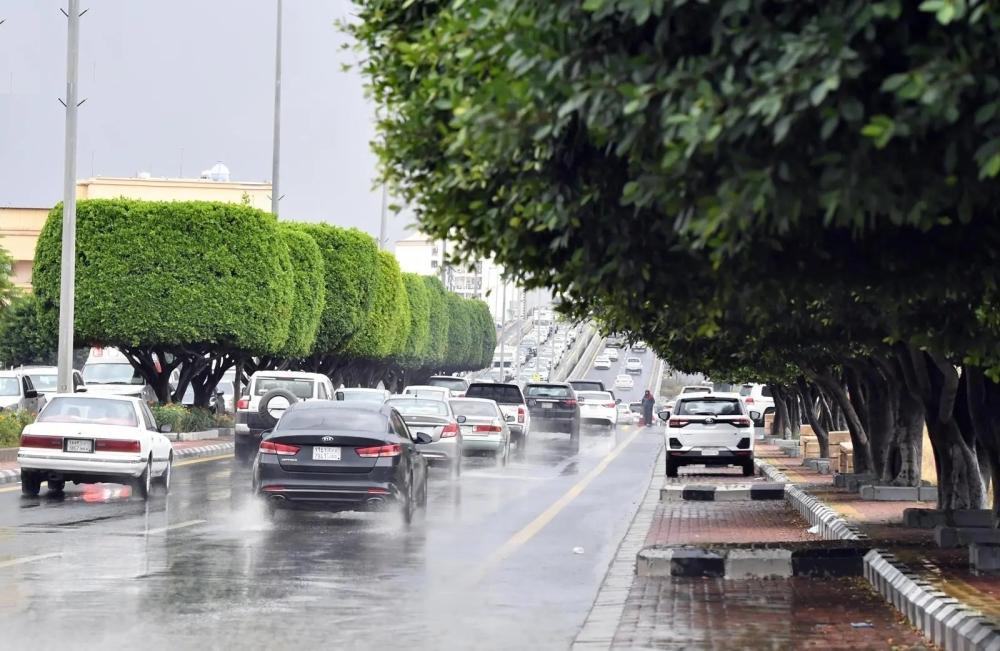 C01d4088 2def 4a00 9fc0 85b1e8b14587 file.jpg