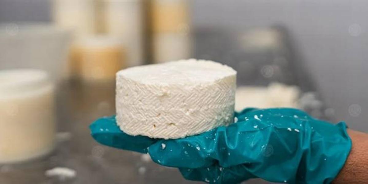 C0ea5513 ab9f 4039 99d2 dd57cb062469 file.jpg