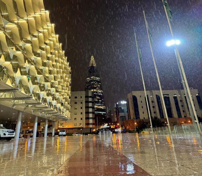 C16375e1 597b 4138 ace2 531f669de5d4 file.jpg