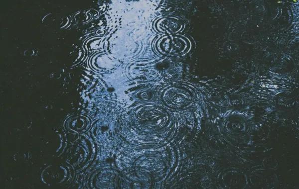 C174ab91 66f0 4639 b0e8 4a3418ee36d8 file.jpg