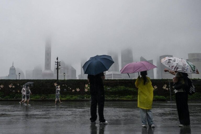 C2bc44b0 a90c 48f6 ad53 b75d1f0e8bb8 file.jpg