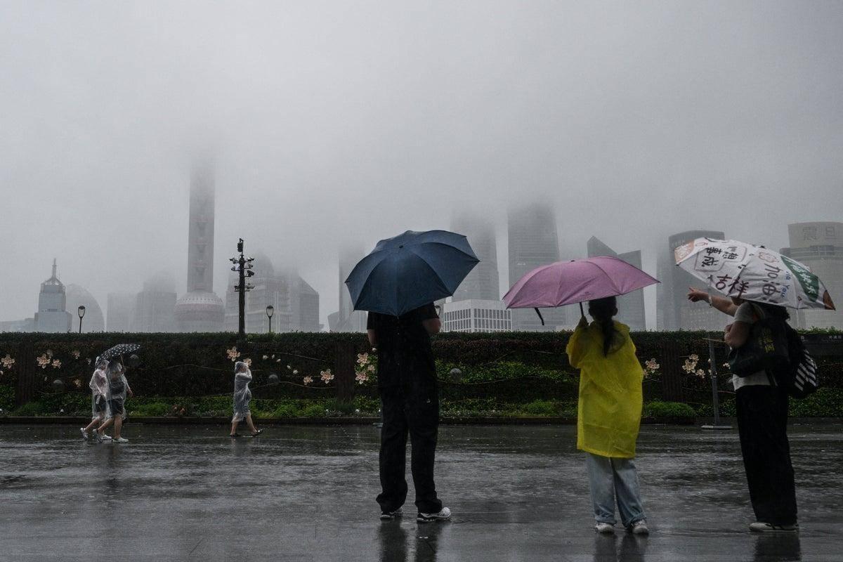 C2bc44b0 a90c 48f6 ad53 b75d1f0e8bb8 file.jpg