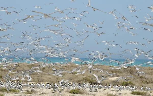 C5430043 d896 4555 833d d17c3a68781f file.jpg