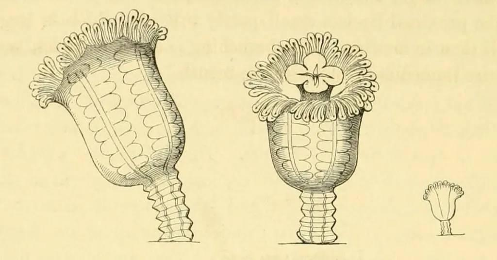 C78de678 5e02 4cfc 81a3 945f31041f75 file.jpg