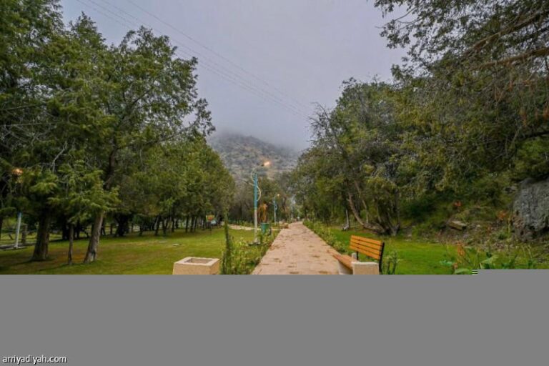 Ca3d83bc 4a9f 46d3 9452 3f4386301178 file.jpg