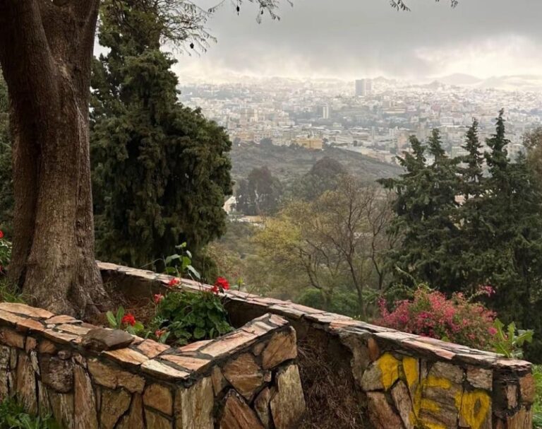 Cb9131d7 004f 4f7c 9eeb cbfe6b44fab0 file.jpg