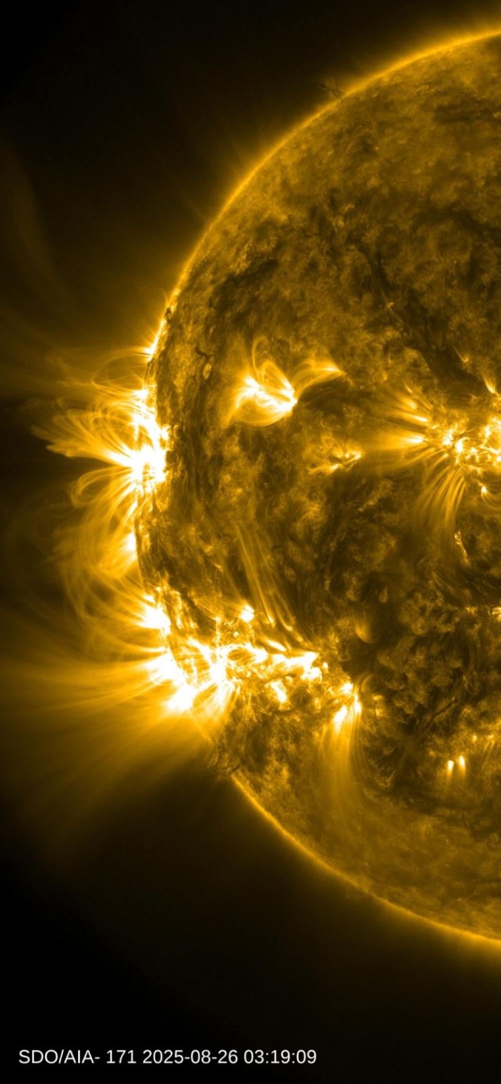 Cce8163d adbd 4cea ba46 d26056461825 file.jpg