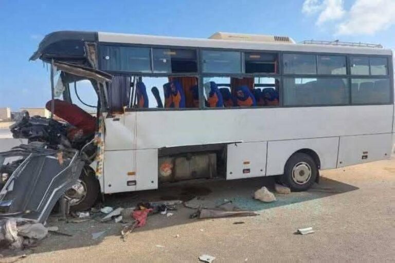 Cefe7fd8 9cf7 44af 9830 cd53b328d7dd file.jpg