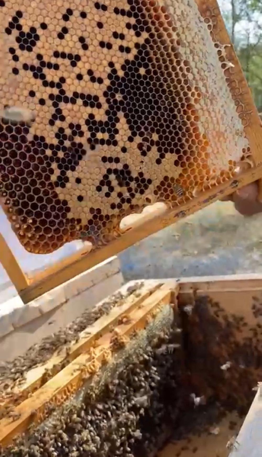 D05f3dbd 635a 4111 b102 6de846b9d804 file.jpg