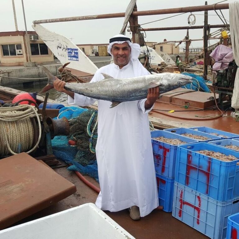 D278d6d6 597c 4ae9 bda2 7f9f1c99a9f3 file.jpg