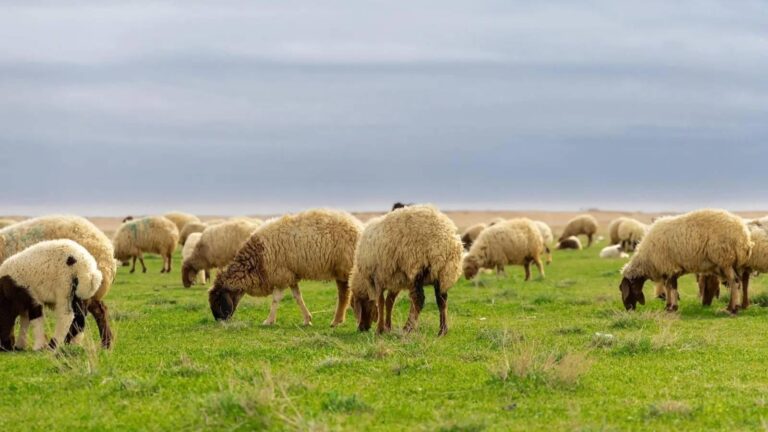 D3f97e5d ce92 4dea 8996 c1dde0aad018 file.jpg