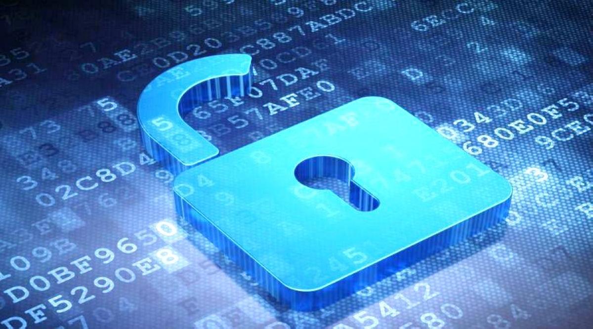 D4473d8c 59a8 4e80 b2fd d44f8638bc59 file.jpg