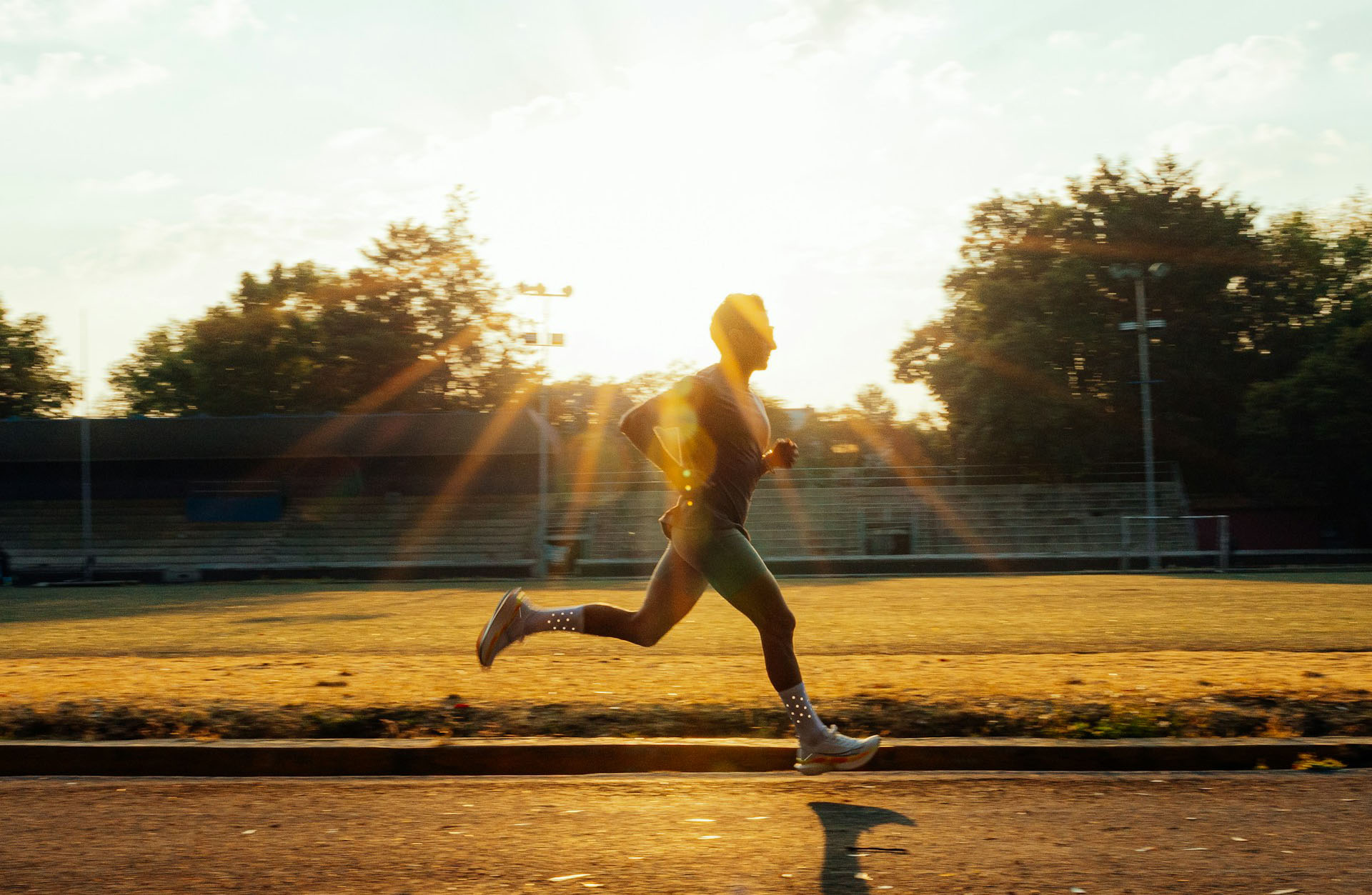 D736a4c9 fc7f 46fe 87d2 6289f494f553