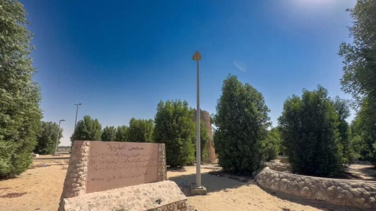 D778295e b077 4406 82db 352645096671 file.jpg