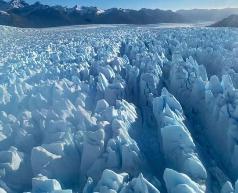 De7b9195 29fb 4711 9d86 70ef31595117 file.jpg