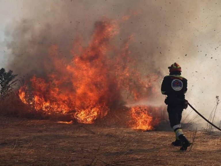 E0ad7568 7618 4331 9cae a7308d0245dd file.jpg