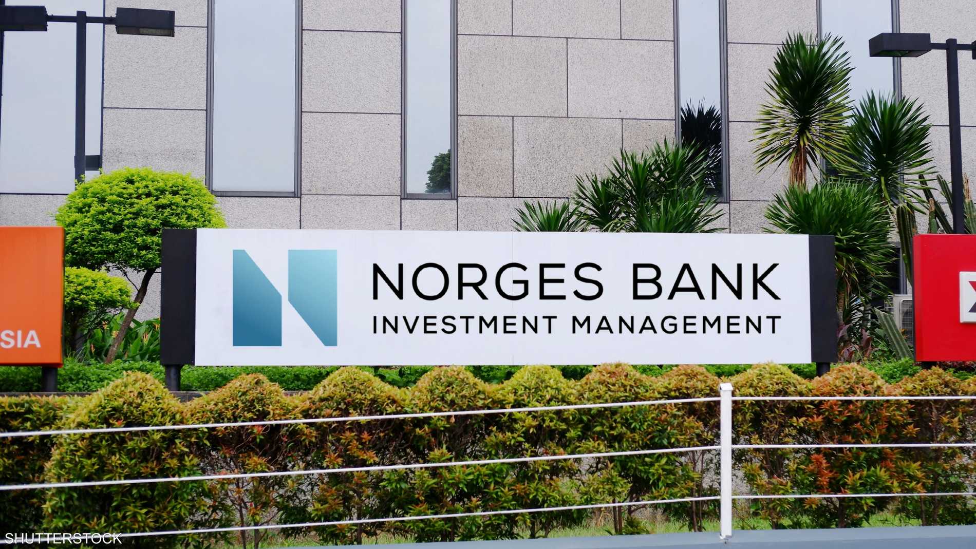 E0c2b3f9 c15b 4dc0 a441 8e8489dbd16e file.jpeg