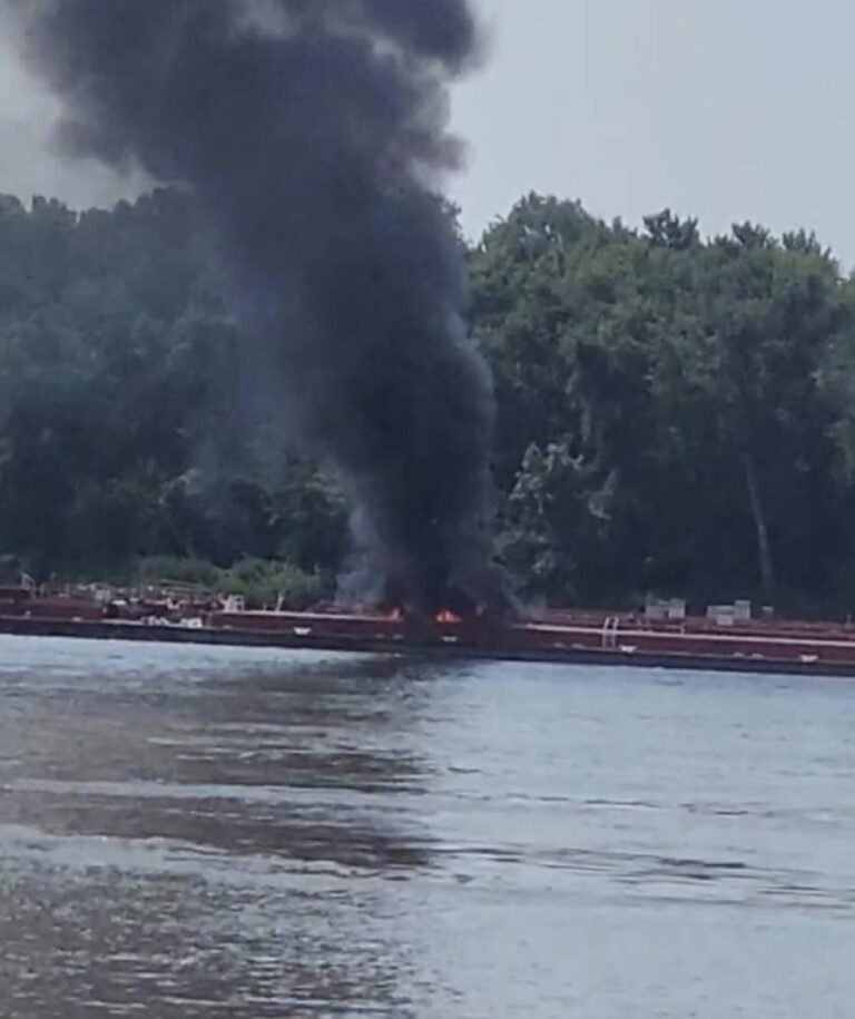 E1bfcf87 6cf3 41f0 b9bc 8b2e79c9406f file.jpg