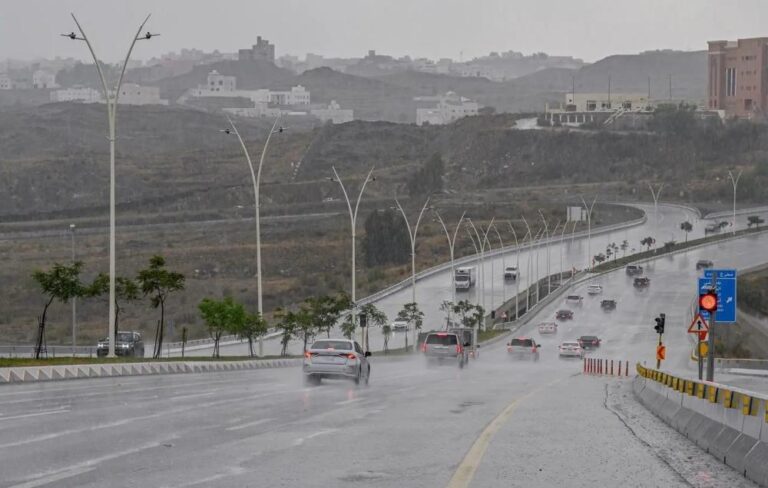 E2238236 5d40 46a0 9b8b 5d8720646bfd file.jpg