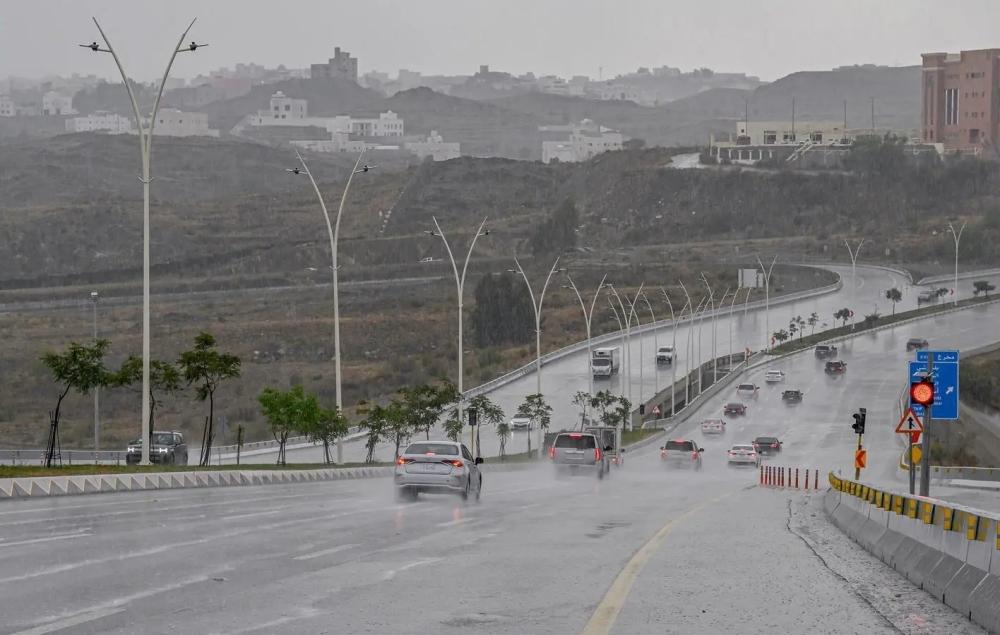 E2238236 5d40 46a0 9b8b 5d8720646bfd file.jpg