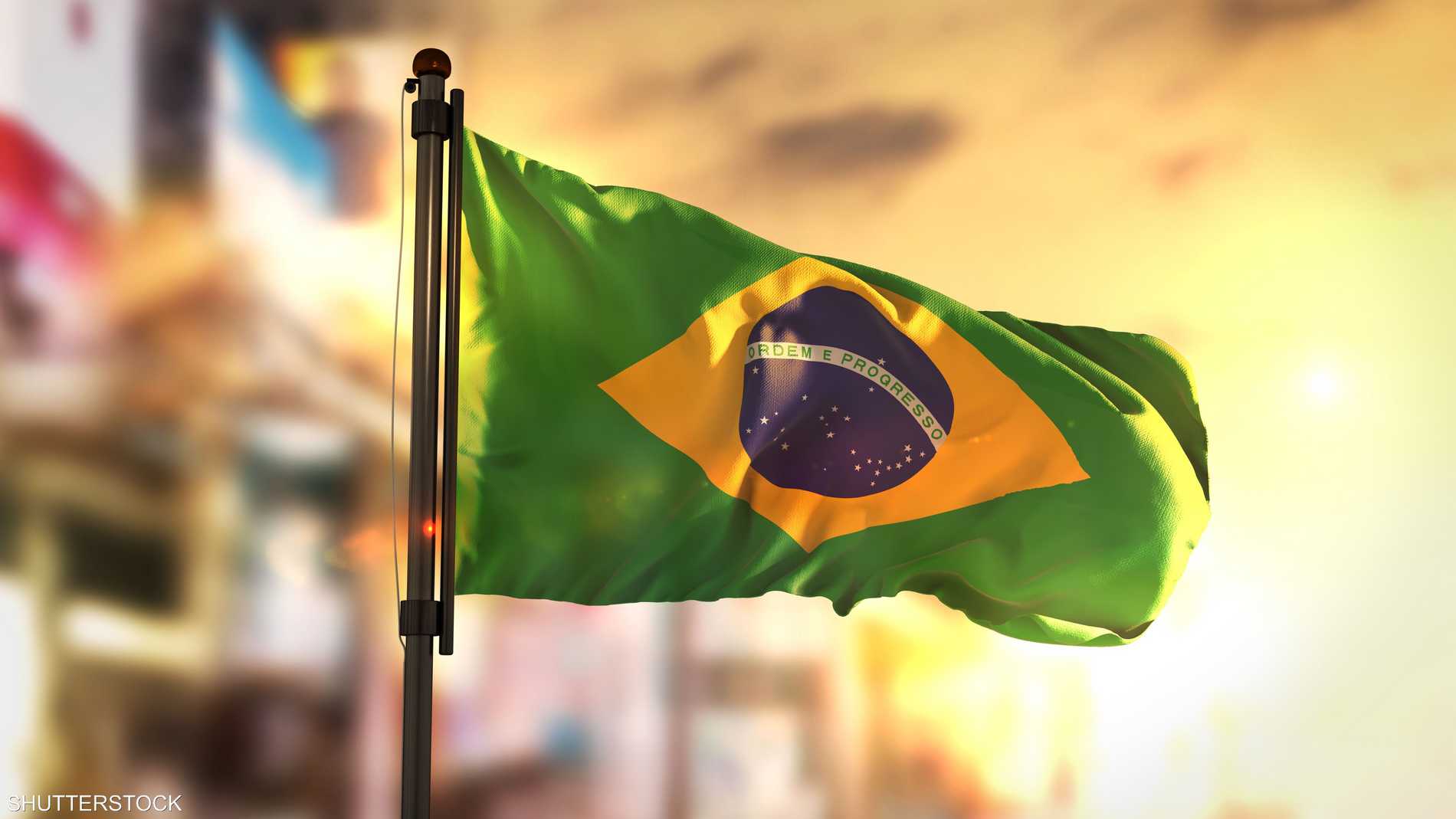 E498c402 33cb 4c00 9b7c acee9342dd13 file.jpeg