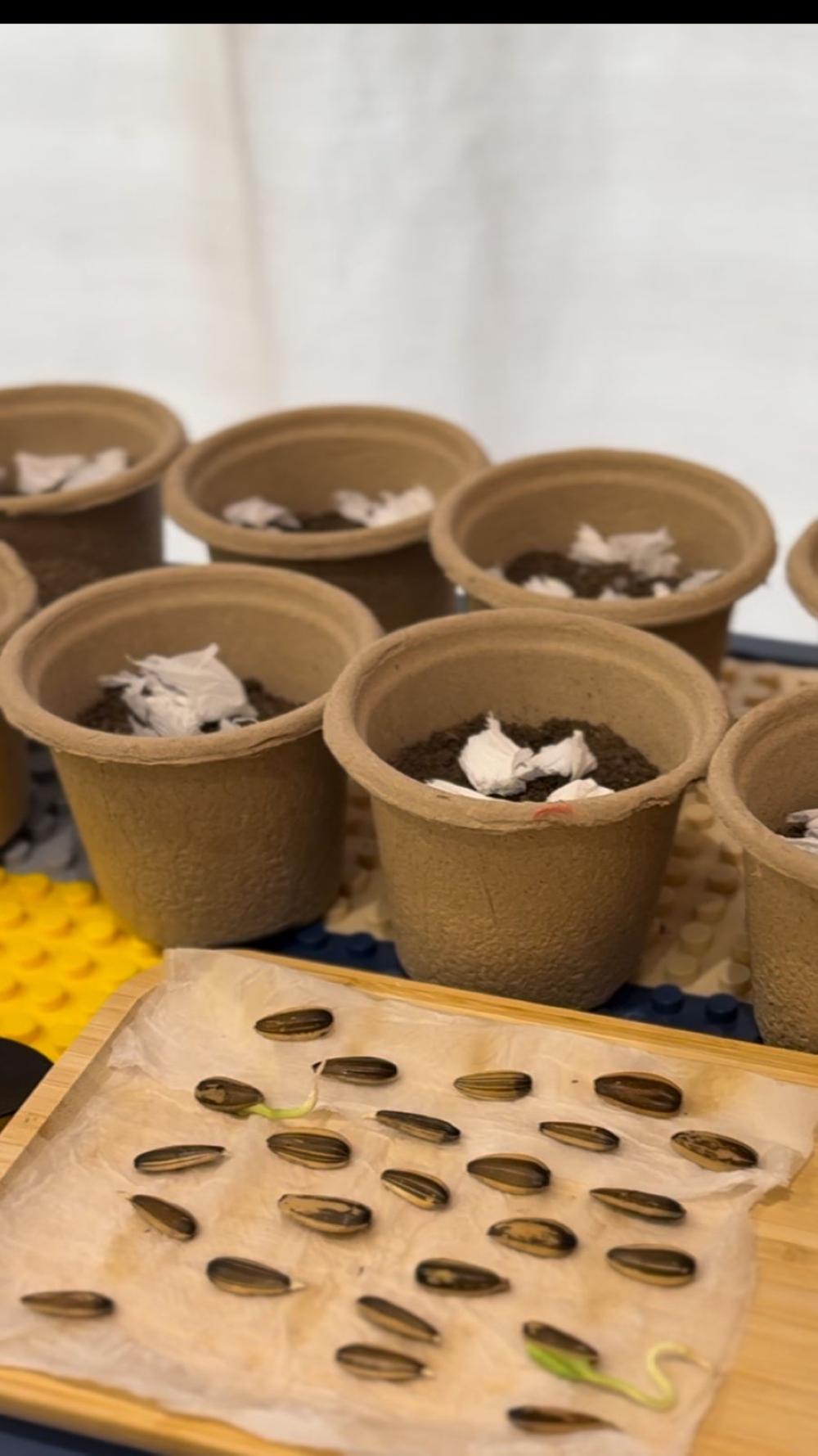 E59403da eaf4 4e6f 9f41 c8e24043e320 file.jpg