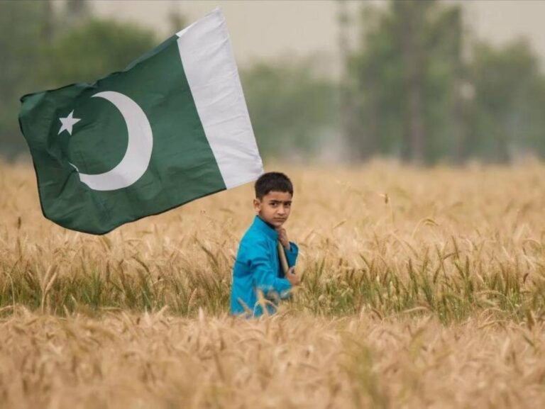 E756c335 dc40 4d83 b396 1e204c632659 file.jpg