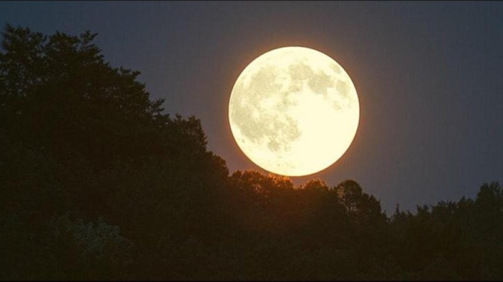 E7f730cf b864 4a0a b461 4272e212d9f1 file.jpg