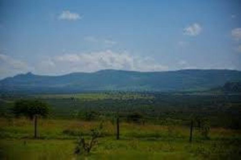 E82d1e14 efc8 44a0 89b8 84484ac0872e file.jpg