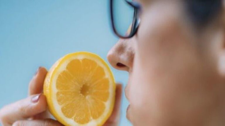 E8abf41e be70 473a 9bc1 00bb6875d32a file.jpg