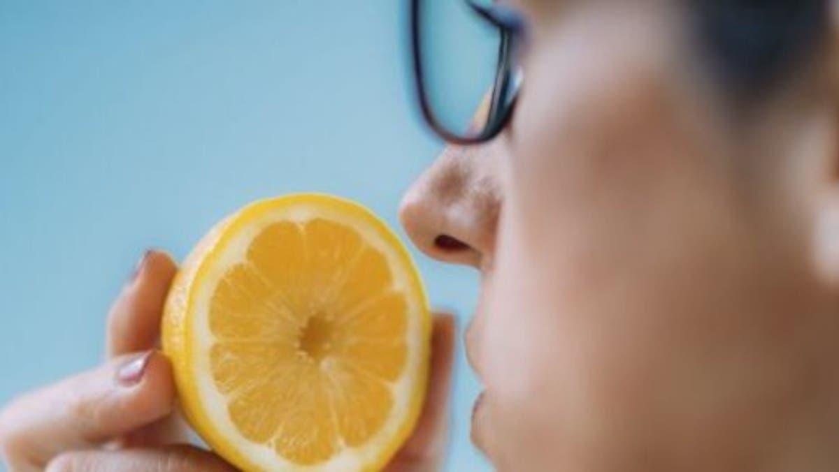 E8abf41e be70 473a 9bc1 00bb6875d32a file.jpg