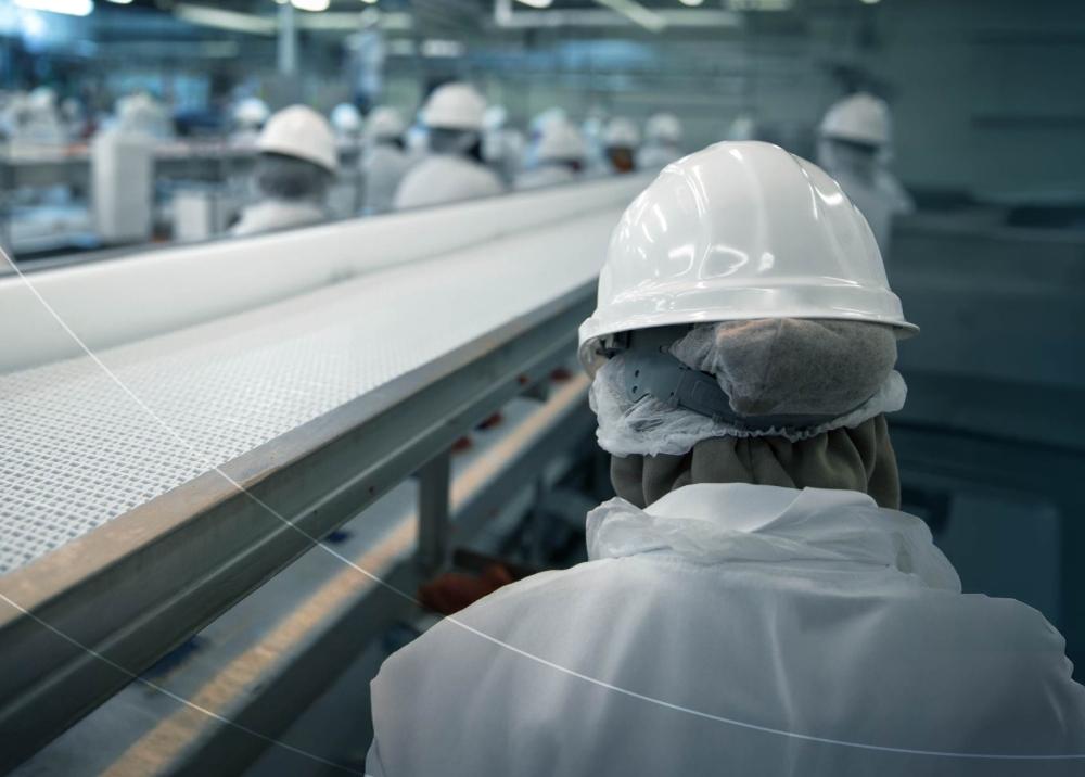 Ec6031a9 b9dc 4d22 aa43 b10a90d6b59f file.jpg