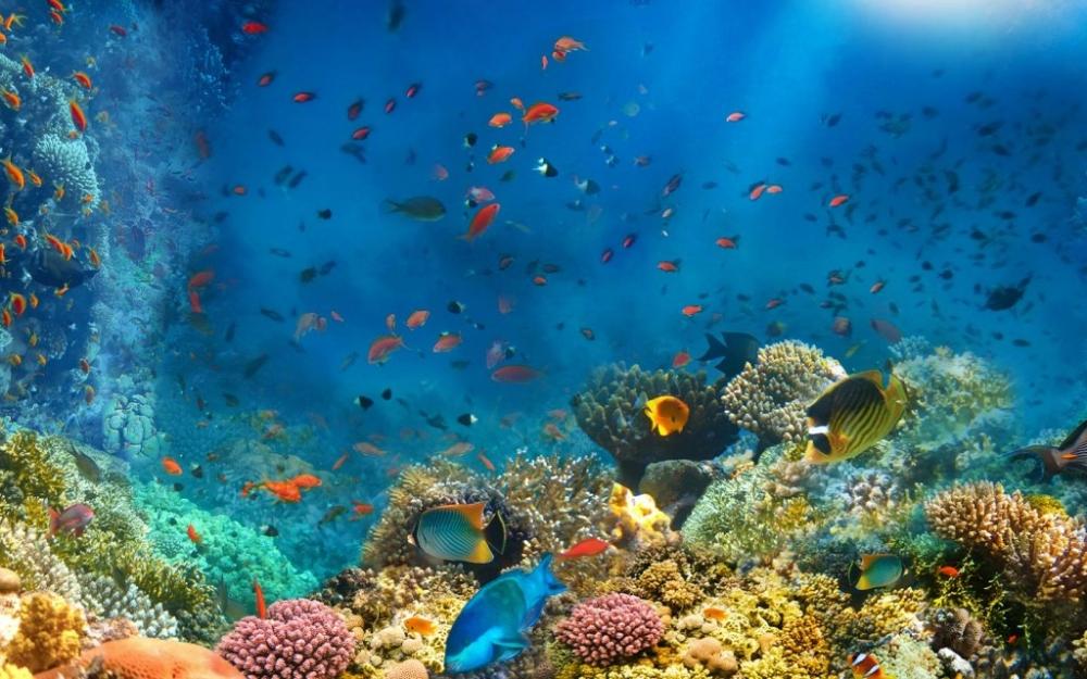 Ee7bba0d 9457 43bb 8d72 90a44e8a961c file.jpg