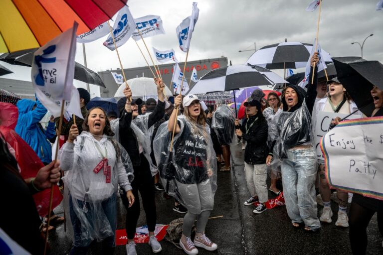 F05914c8 830c 4fba a7be 1cddb2c15073 file.jpeg