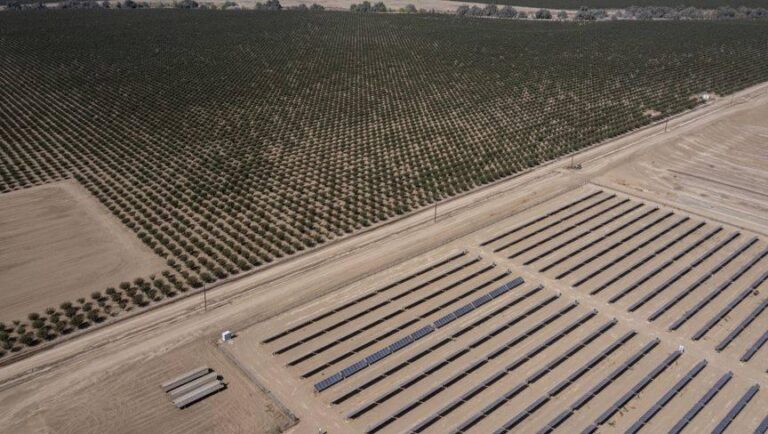 F2a5b435 b76b 4435 9945 b211ee627bab file.jpg