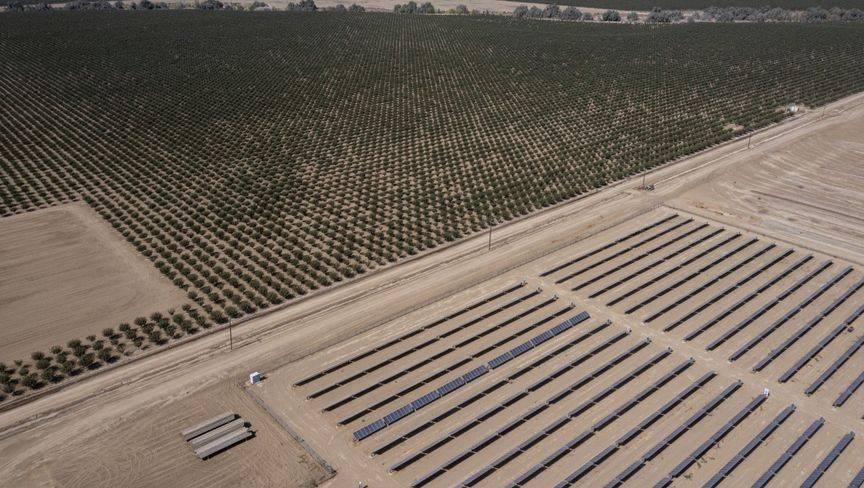 F2a5b435 b76b 4435 9945 b211ee627bab file.jpg