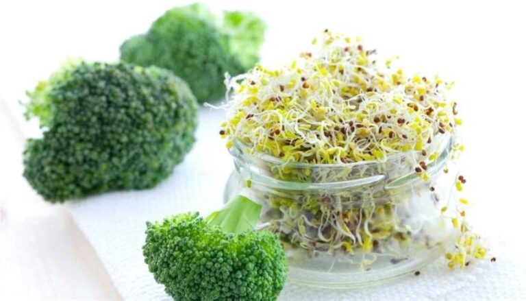 F2b5737f d760 477d 814e 9680e5d36f96 file.jpg