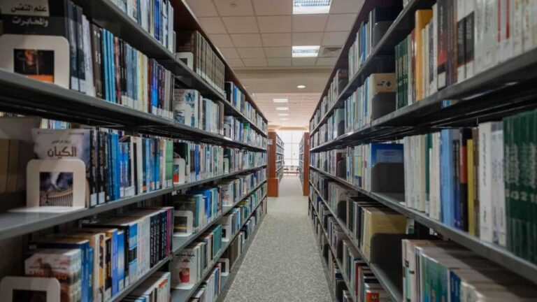 F3119bc6 e1dc 4f23 9ead 6a84efe82e6c file.jpeg