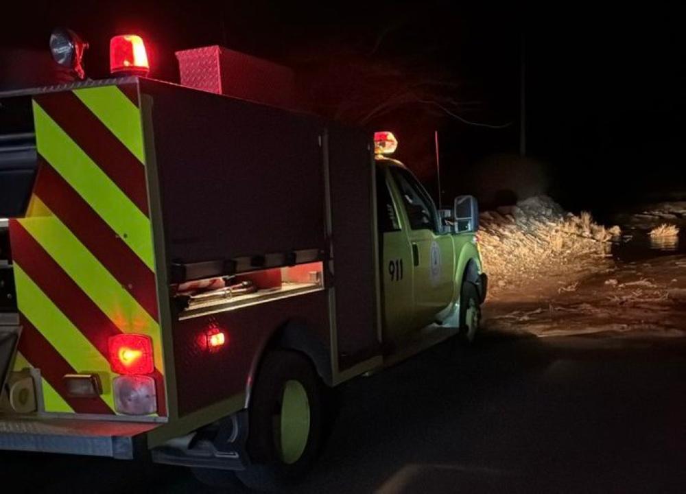 F657d685 cb2d 4f91 8769 65c86cbdb975 file.jpg