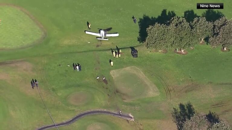 F6d91b58 fa0b 4e24 ab7b a9fcbba92e96 file.jpg