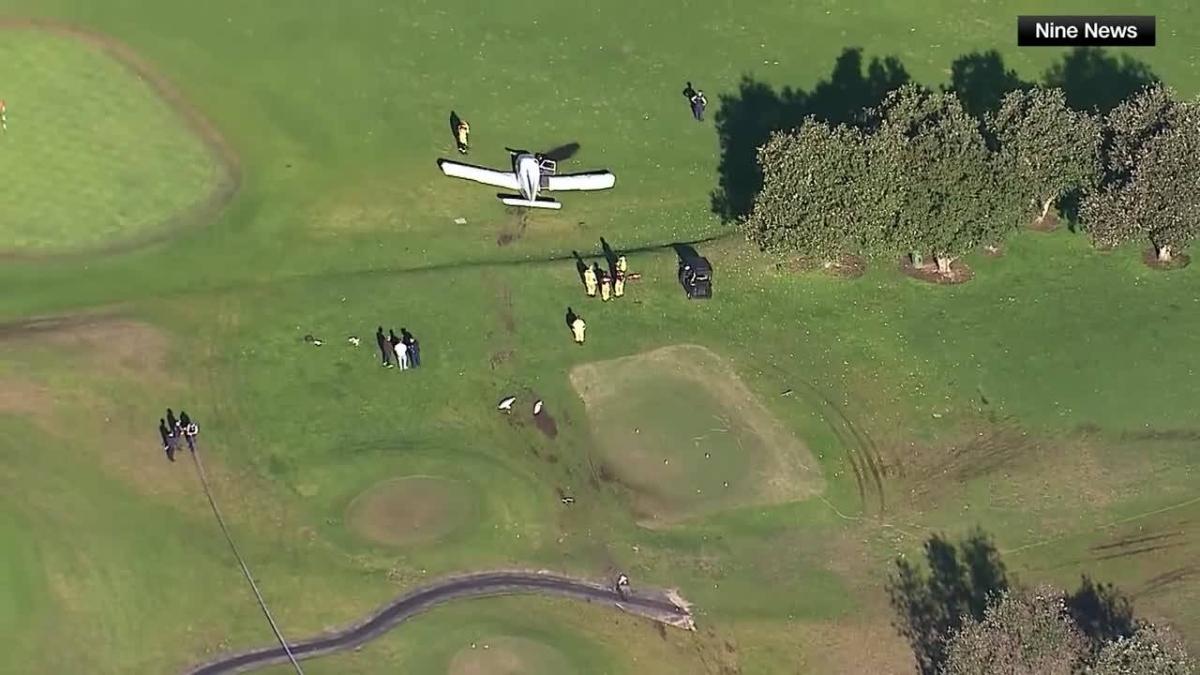 F6d91b58 fa0b 4e24 ab7b a9fcbba92e96 file.jpg