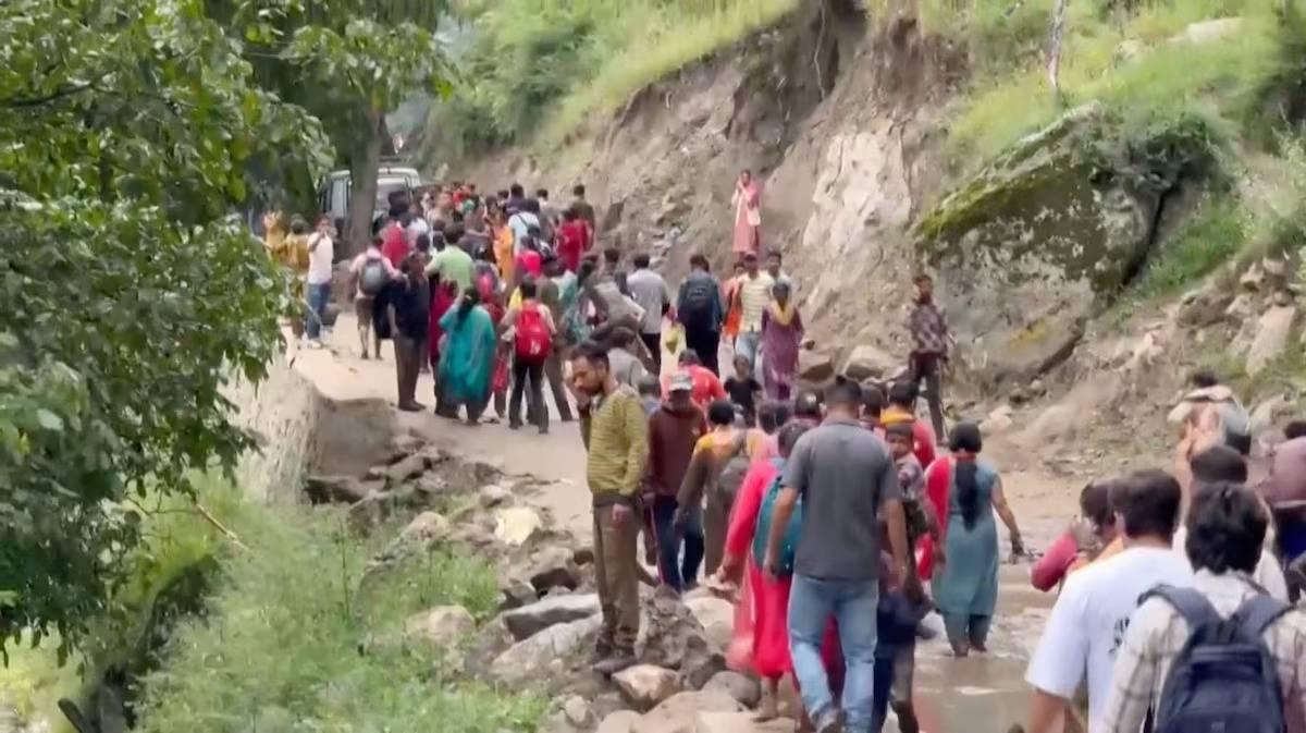 F8c62208 2552 4525 ad98 e990e2c69c5e file.jpg