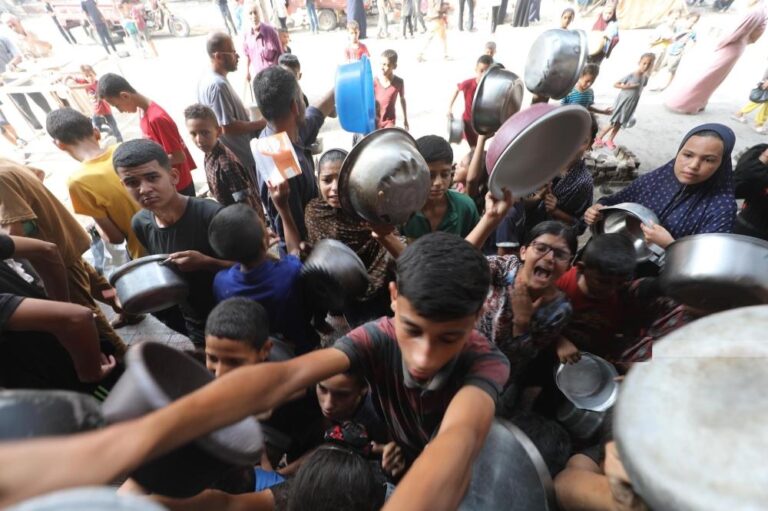 F8cd1ad5 b636 41ff 9604 2b0afbcd76d9 file.jpg