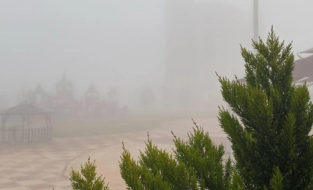 Fd067b3f fe86 4919 9d72 090e14c8fa30 file.jpg