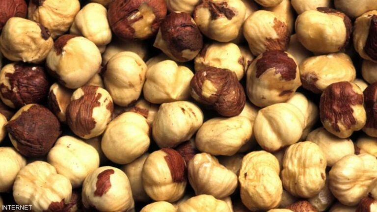 Fd557f6d 2885 48d5 a597 9babf001cf1f file.jpeg