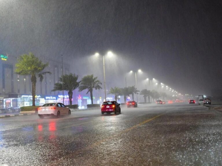 Fe06dff4 e13c 4ae6 ac06 e46ae023b377 file.jpg