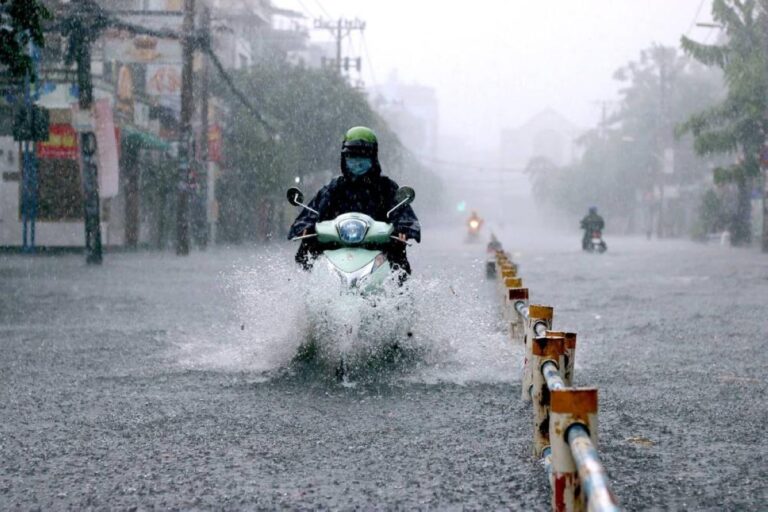 006718c7 6ace 40c8 b4fa e8cbafe370f0 file.jpg