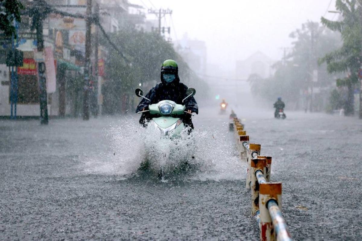 006718c7 6ace 40c8 b4fa e8cbafe370f0 file.jpg