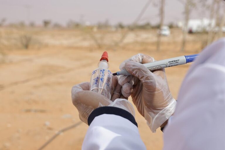 01ace726 d114 466e 8e0b 860aa54d0500 file.jpg